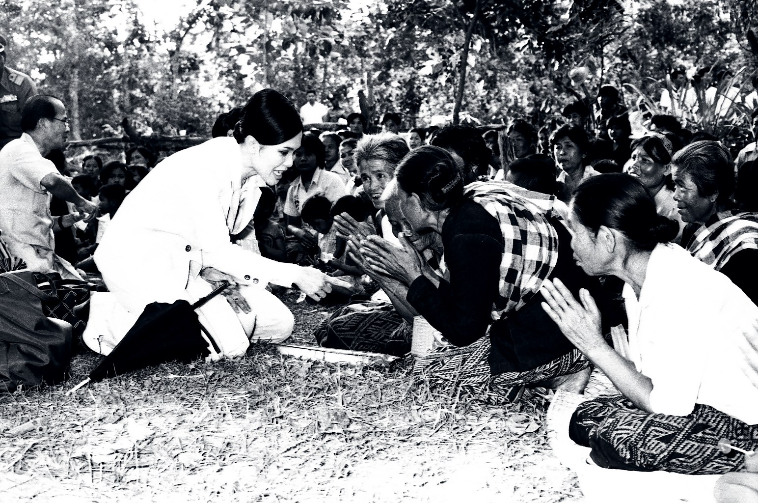 568648527 1320950213395057 788833009116335185 n