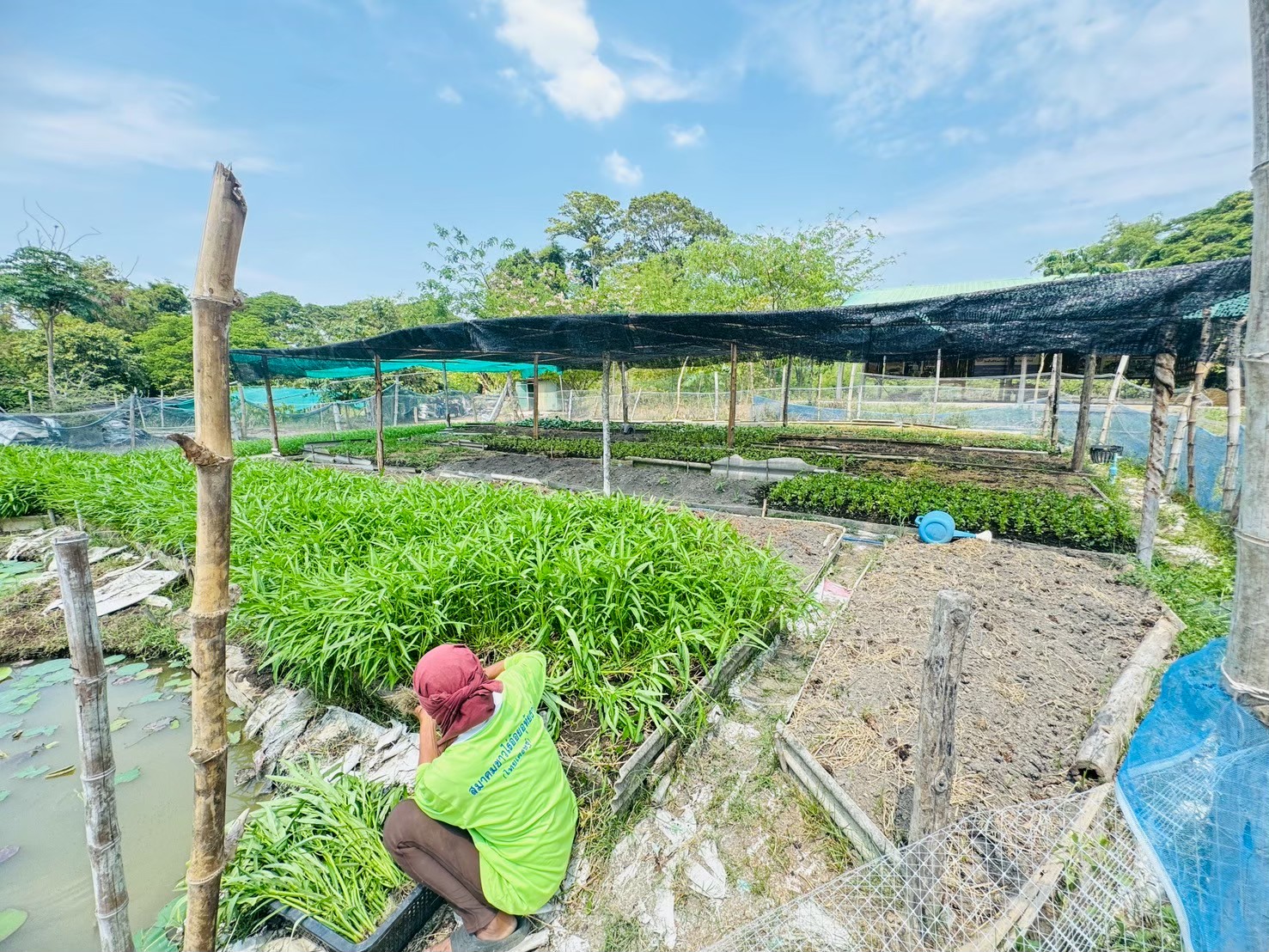 LINE ALBUM 1568 250625 2