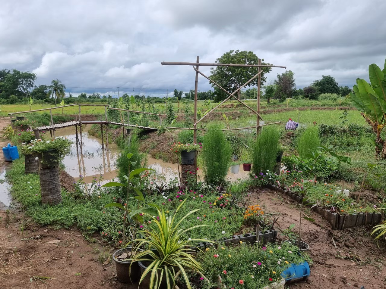 LINE ALBUM 132022 250519 1