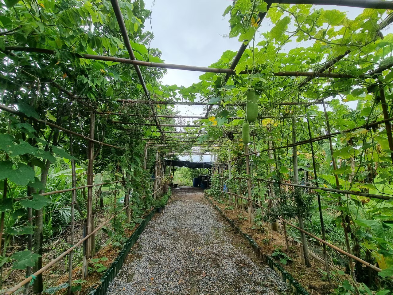 LINE ALBUM 132022 250519 2