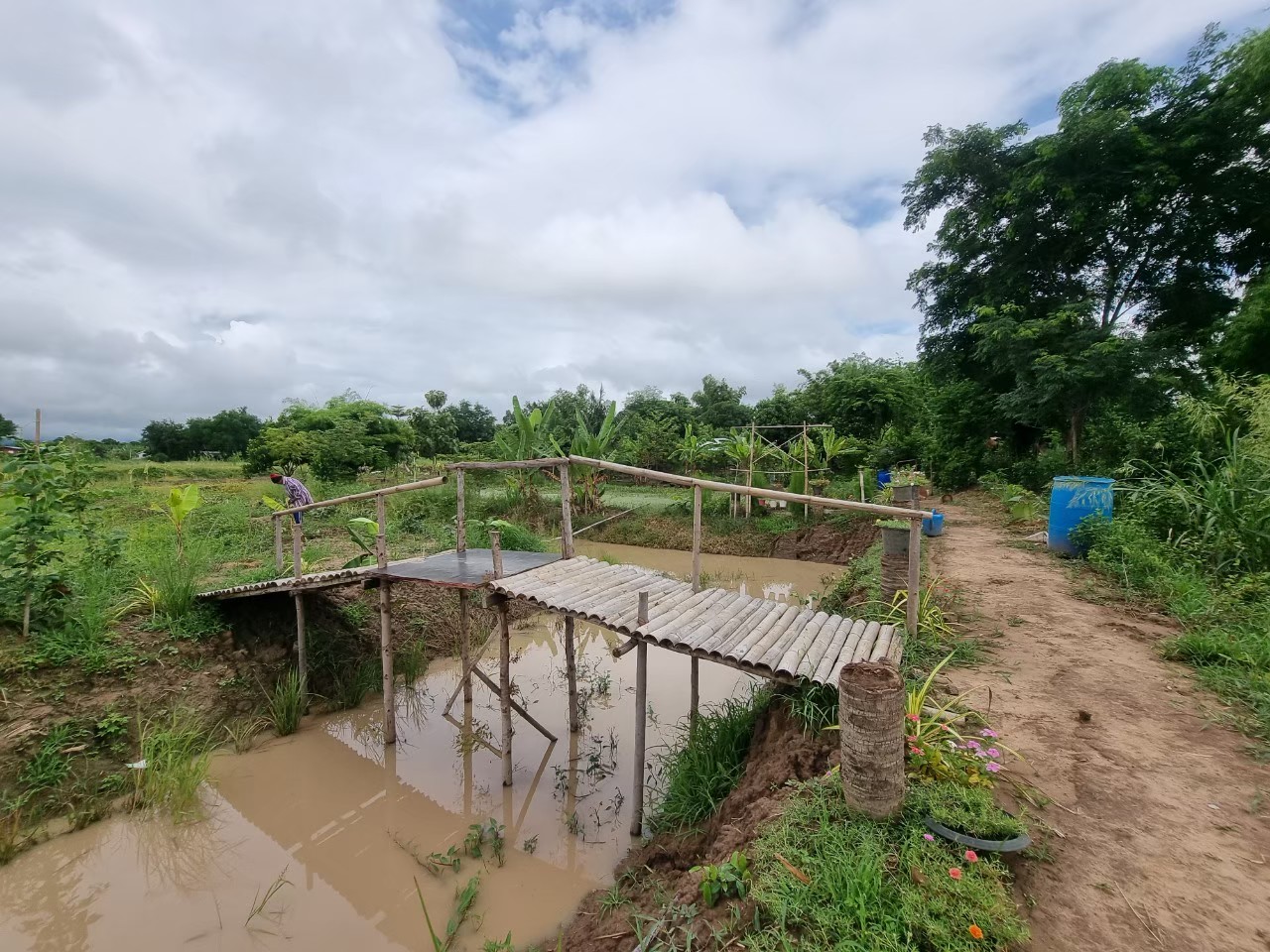 LINE ALBUM 132022 250519 3