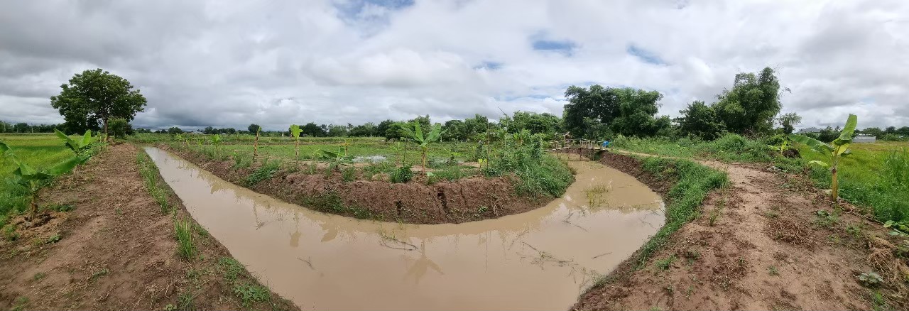 LINE ALBUM 132022 250519 4