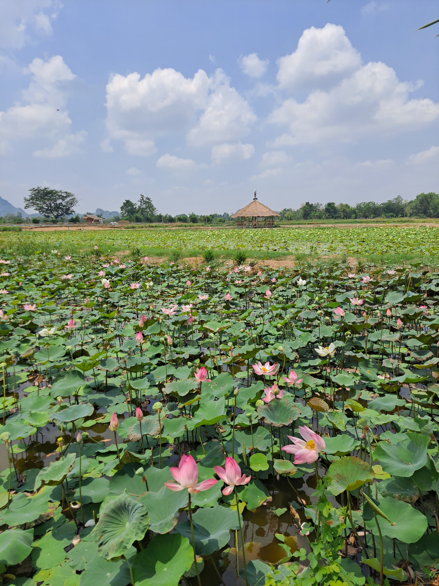 474010808 629347486120917 7243478341701563365 n