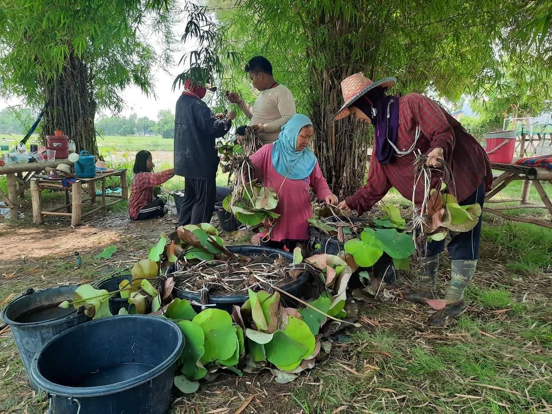 474075247 629347516120914 7991615741702506608 n