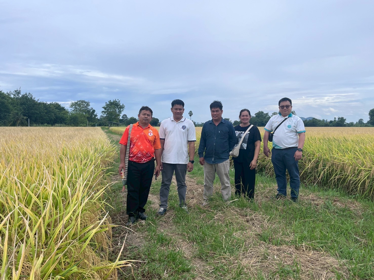 LINE ALBUM เทียบระดับประเมินกาแฟ 250829 111