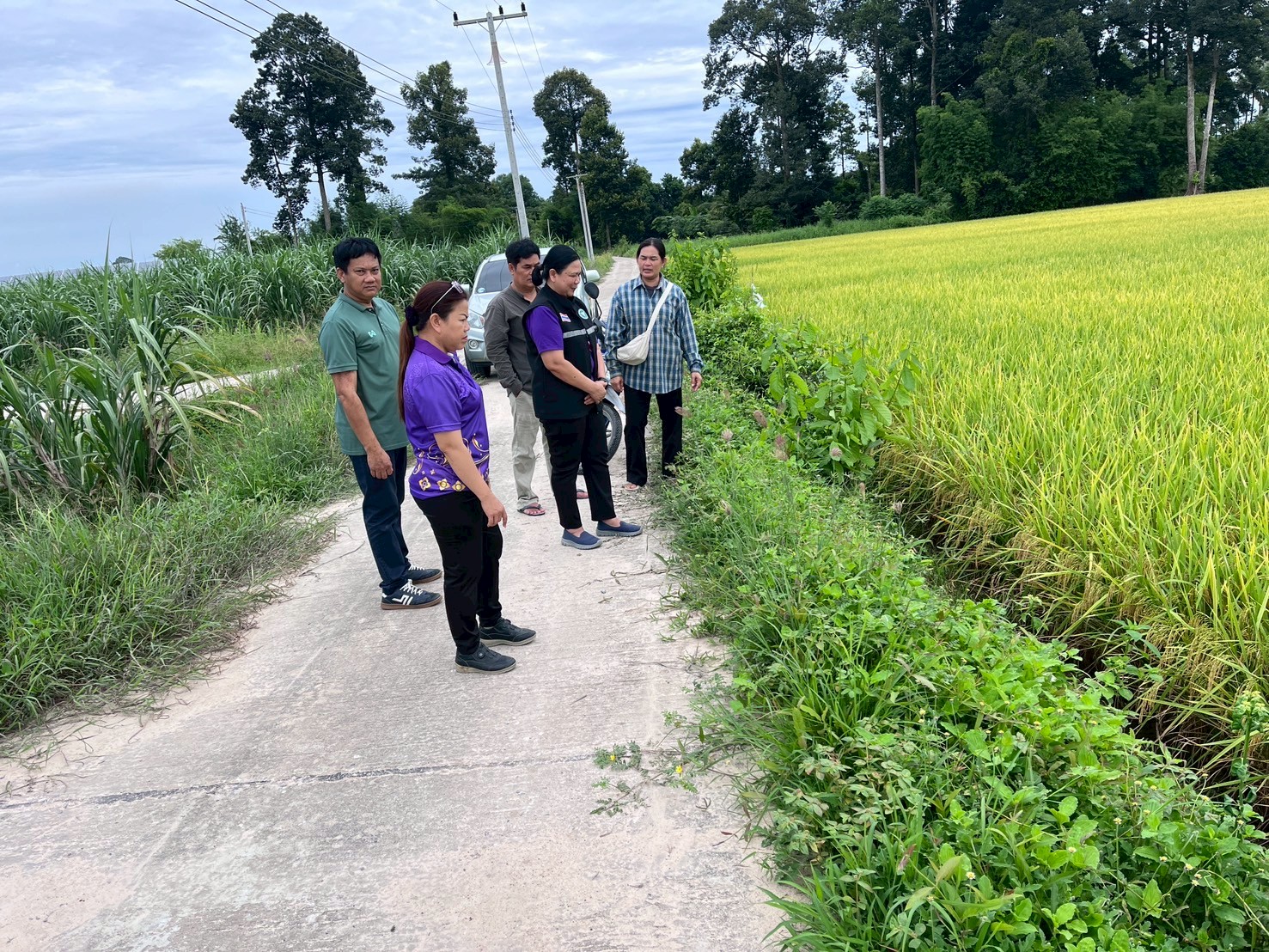 LINE ALBUM เทียบระดับประเมินกาแฟ 250829 72