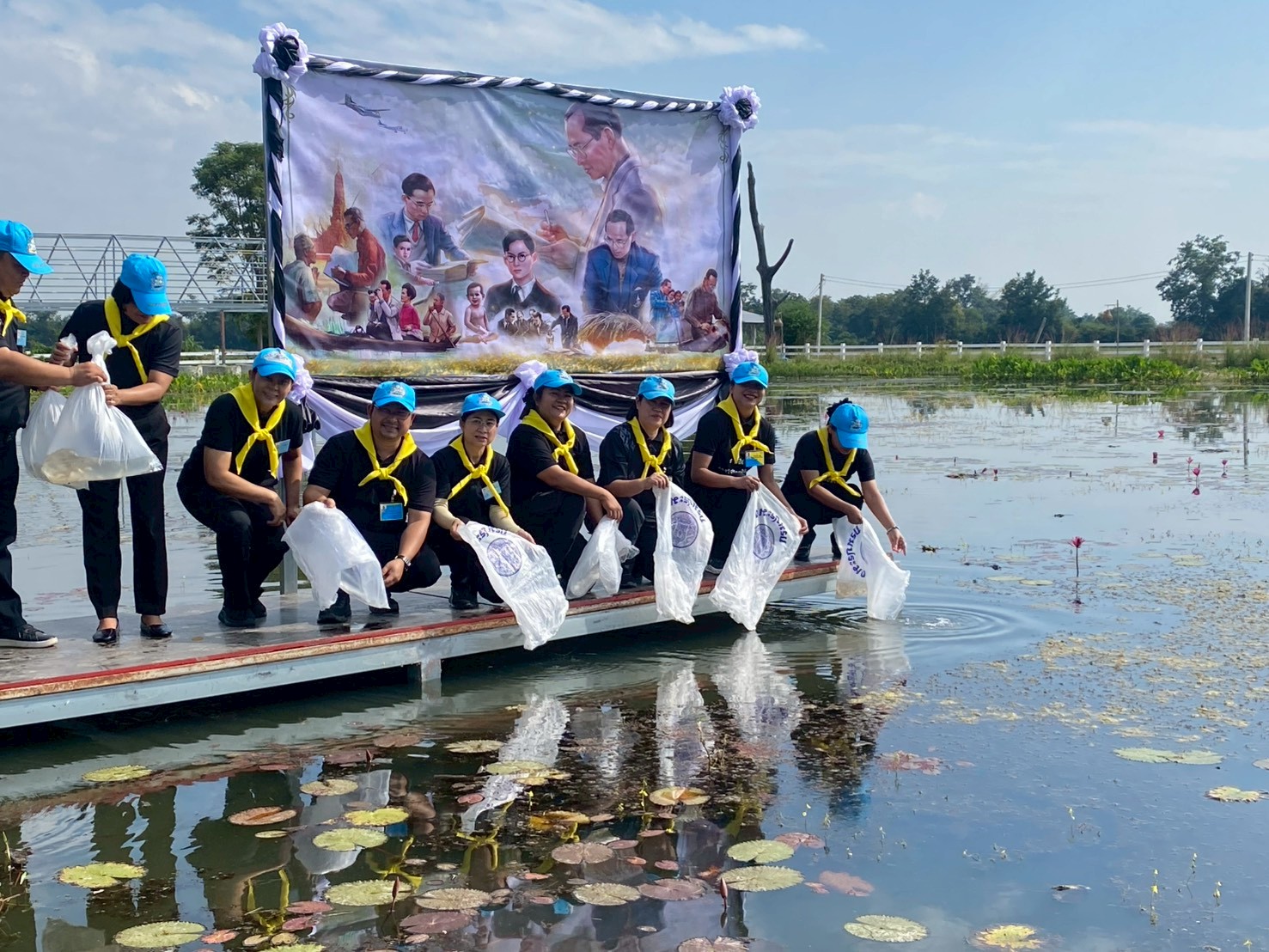 LINE ALBUM 51268 251211 81