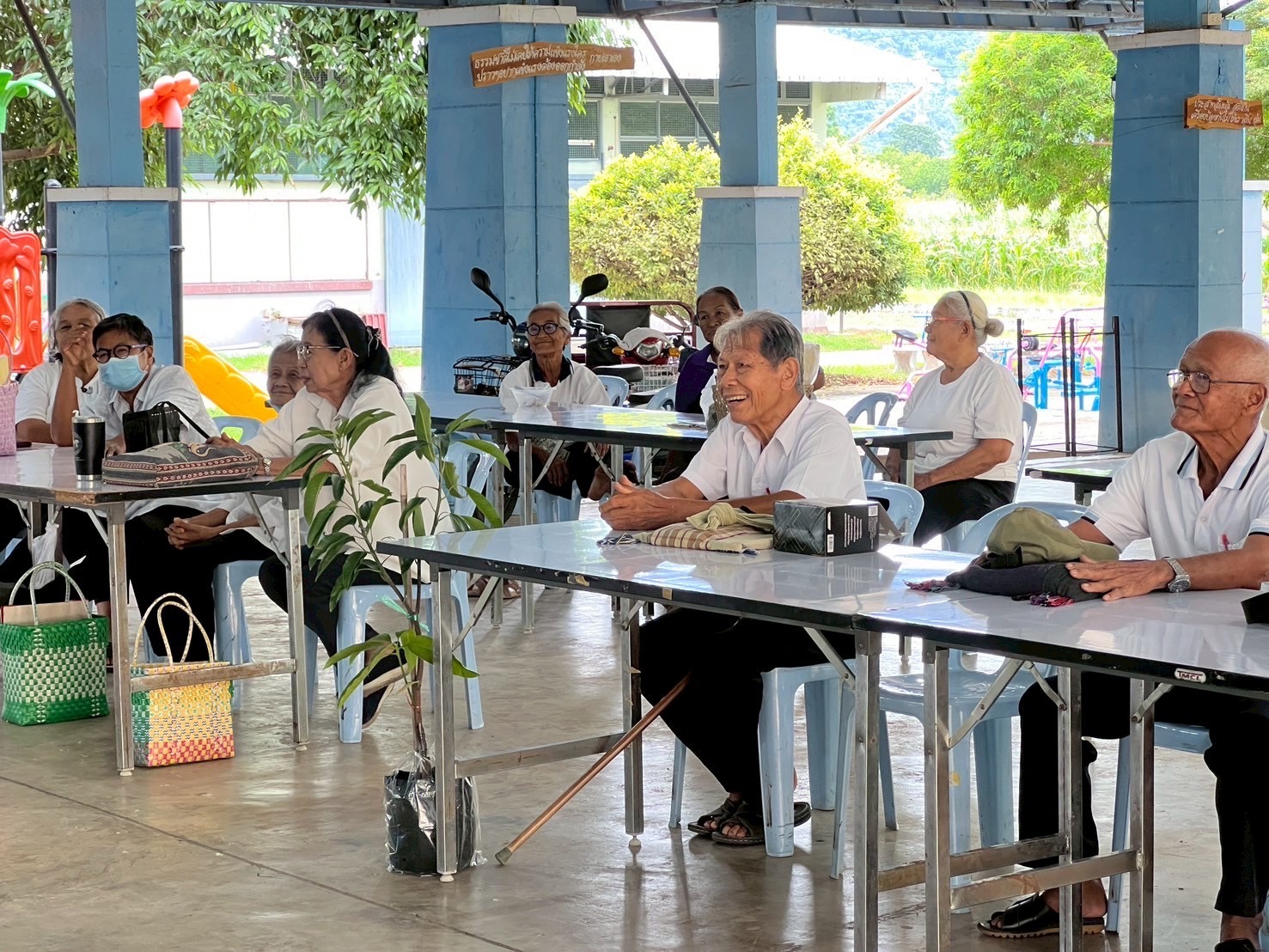 518217177 3608412062786363 1503142974074523035 n